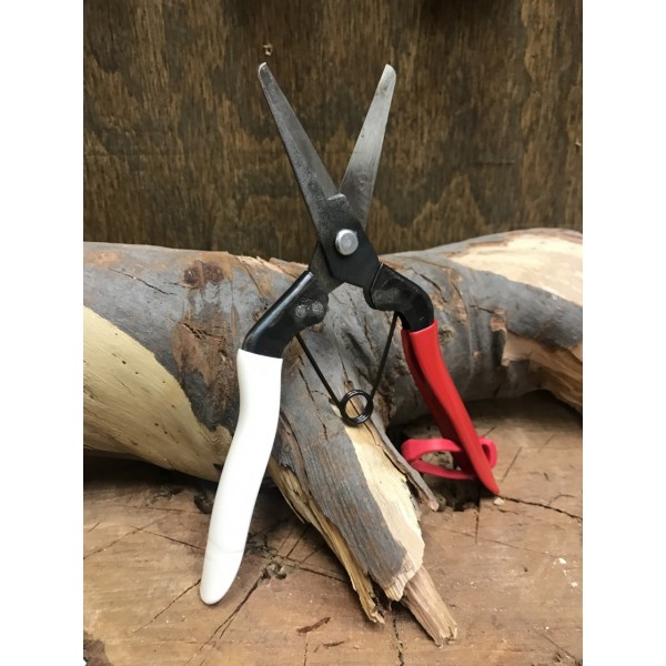 small onion shears with white and red handle
