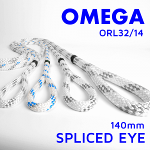 omega spliced eye poster